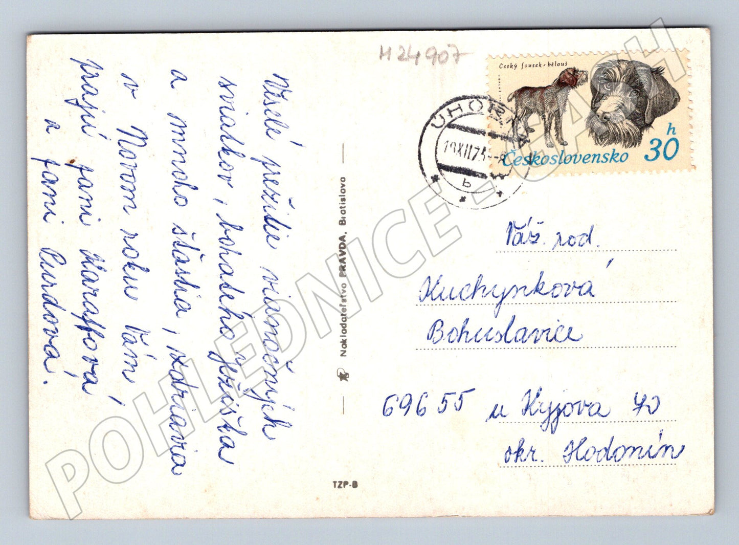 Pohlednice Československo Novoroční zátiší 1975 (M24907)