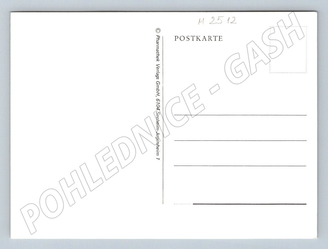 Rose Rosa Liebfrauen botanical illustration (M2512)