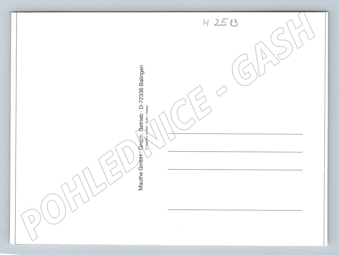 Lonely tree in a field blue sky (M2513)