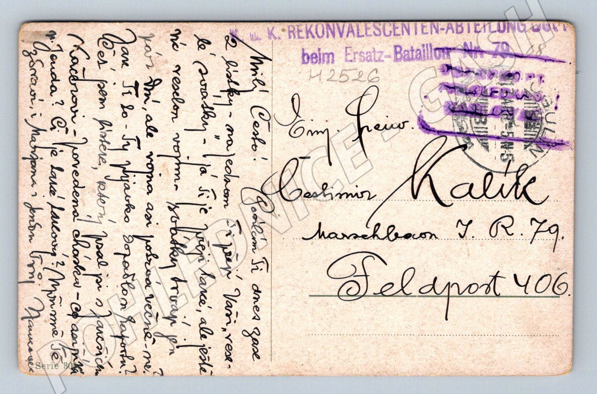 Postcard gooseberry and rose painting (M2526)