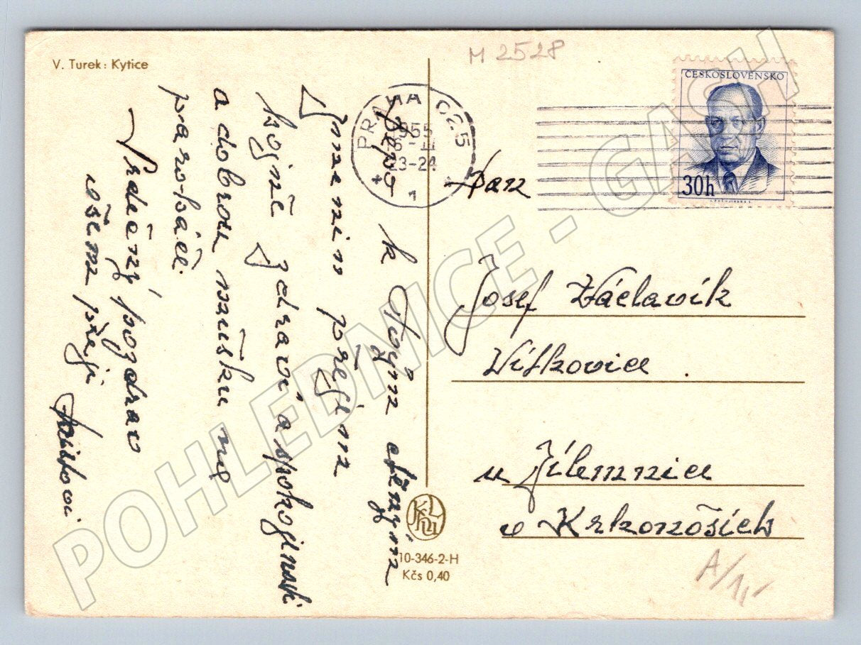 Pohlednice V. Turek Kytice (M2528)