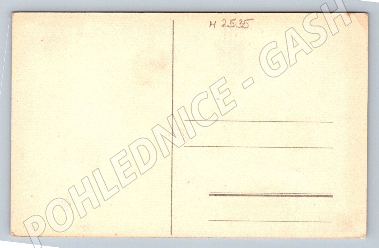 Postcard girl with dog To my dear mom (M2535)