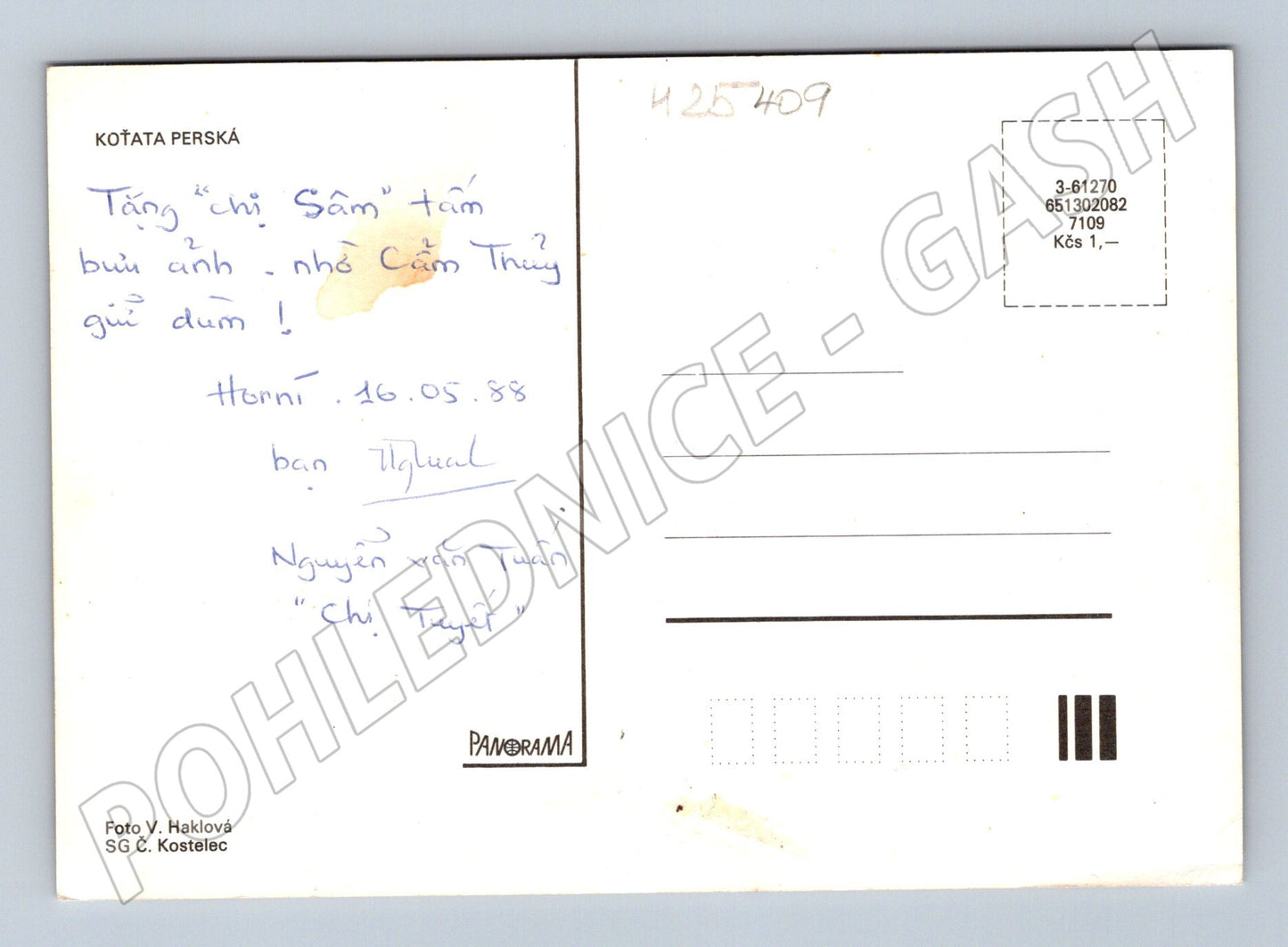 Pohlednice Perská koťata 1988 (M25409)