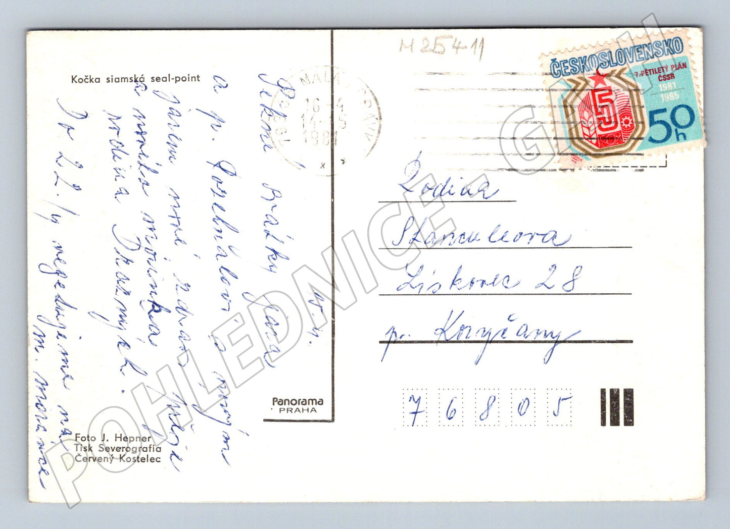 Pohlednice Kočka siamská 1985 (M25411)