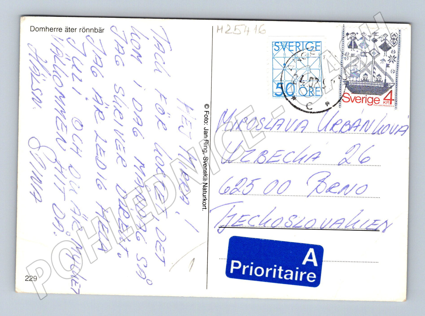 Pohlednice Švédsko hýl obecný na jeřabině (M25416)