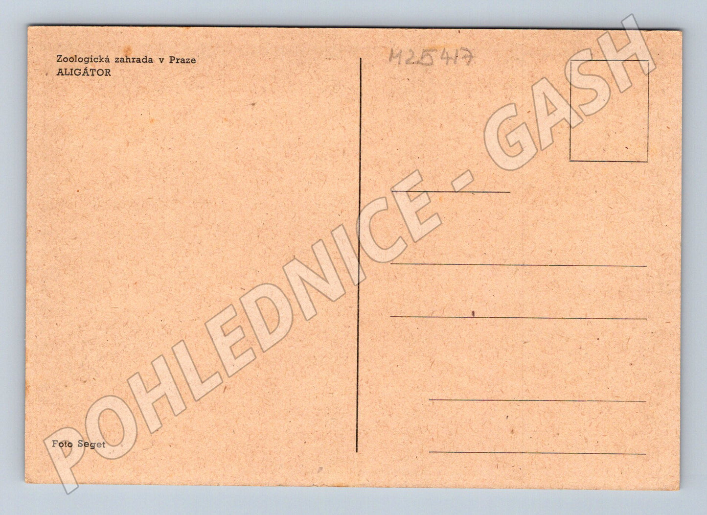 Pohlednice Praha ZOO aligátor (M25417)