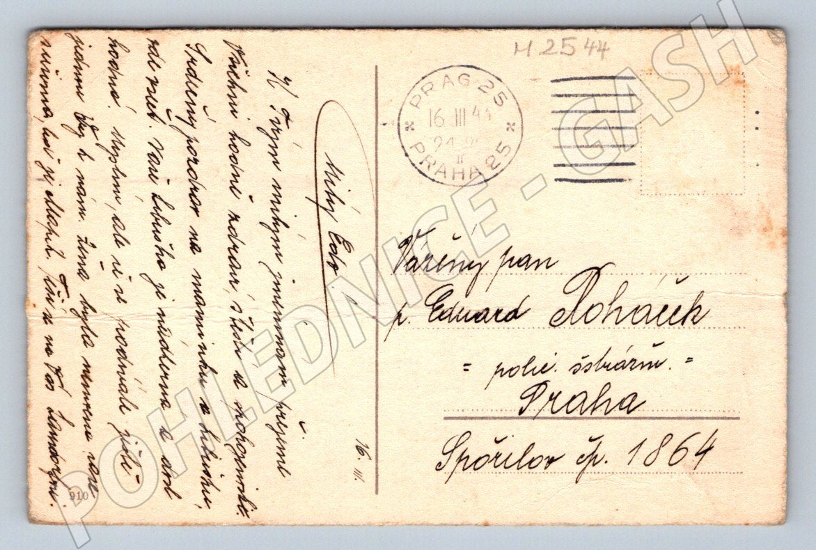 Postcard bouquet of daisies Prague (M2544)