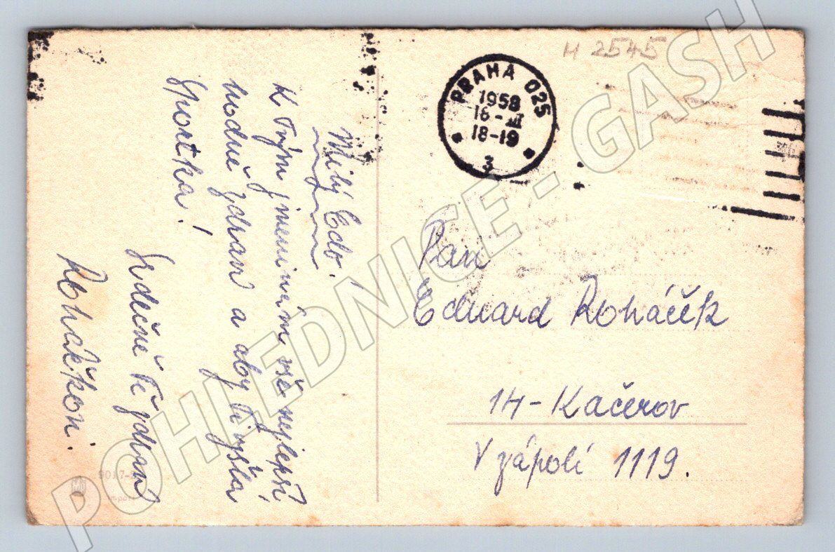 Postcard carnations flower greeting card (M2545)