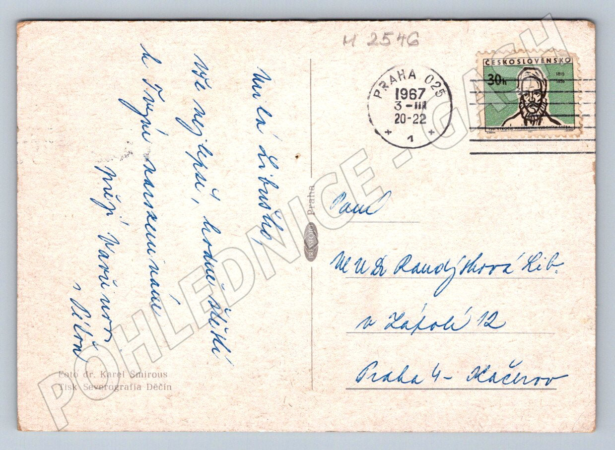 Postcard bouquet of daisies decor (M2546)