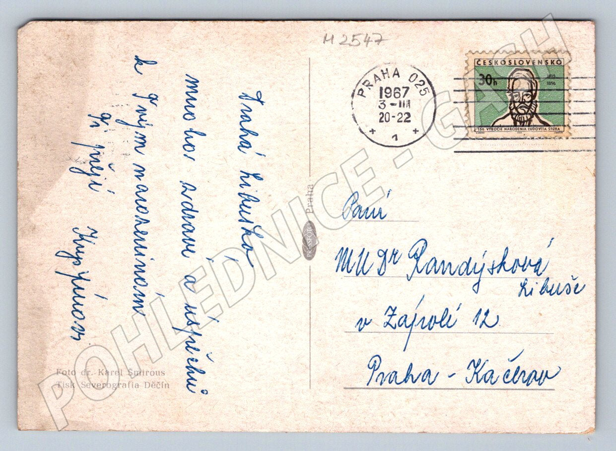 Purple iris flower postcard (M2547)