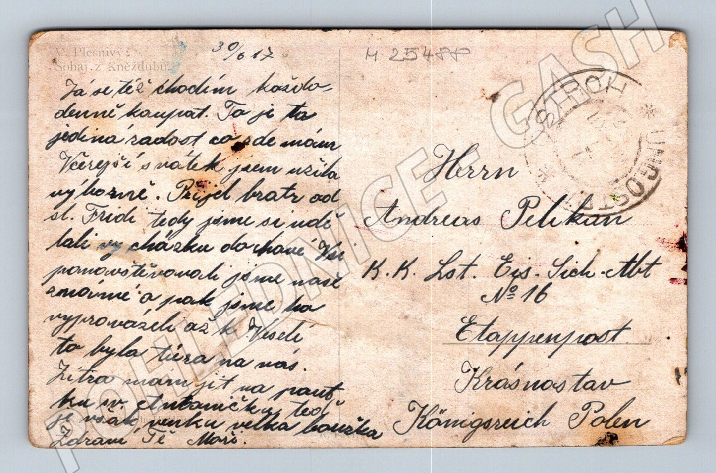 Pohlednice Polsko muž v kroji 1917 (M25488)