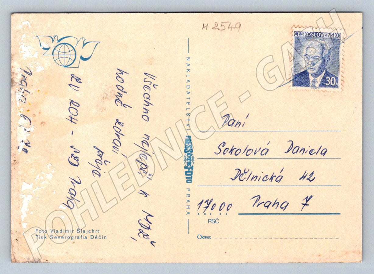 Postcard Freesia flower motif (M2549)