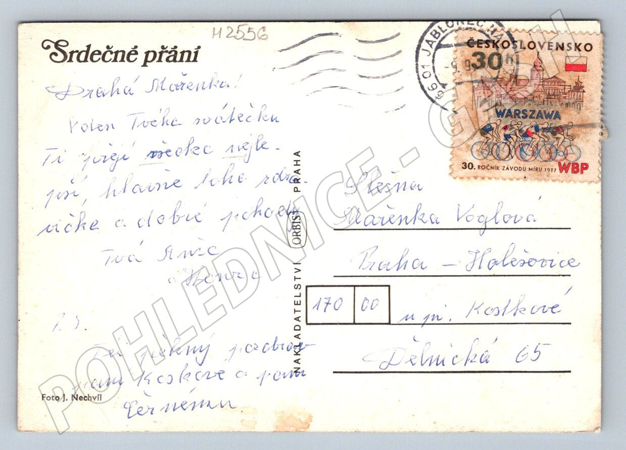 Postcard flower with a wish Czechoslovakia (M2556)
