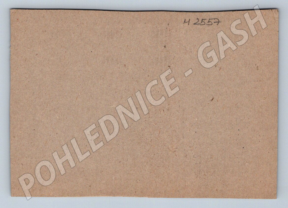 Postcard red water lily flowers (M2557)