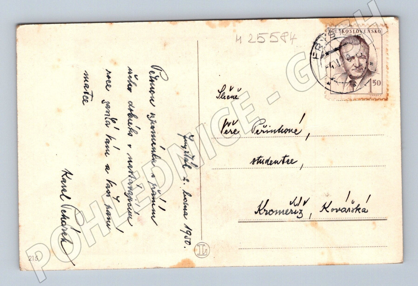 Pohlednice zimní zasněžená krajina bříza 1950 (M25584)