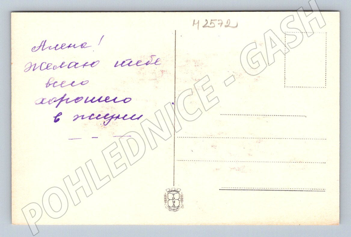 Hand-painted gladiolus postcard (M2572)