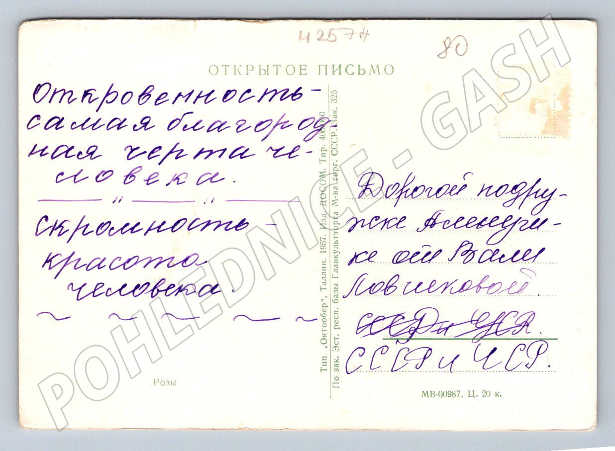 Postcard rose Soviet illustration (M2574)