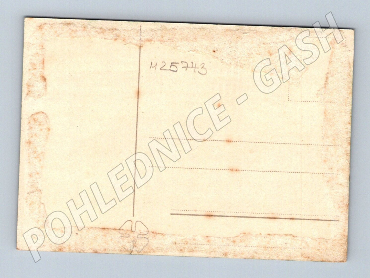 Pohlednice zasněžené stromy zimní krajina (M25743)