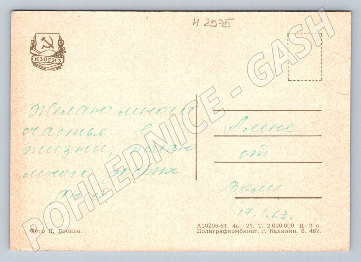 Postcard rose Soviet ethnography (M2575)