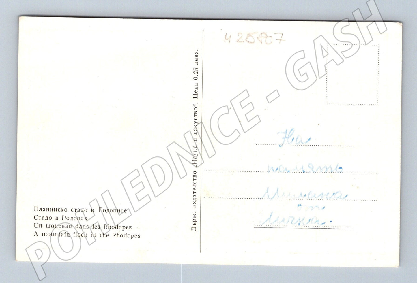 Pohlednice Bulharsko Rodopy ovce (M25807)