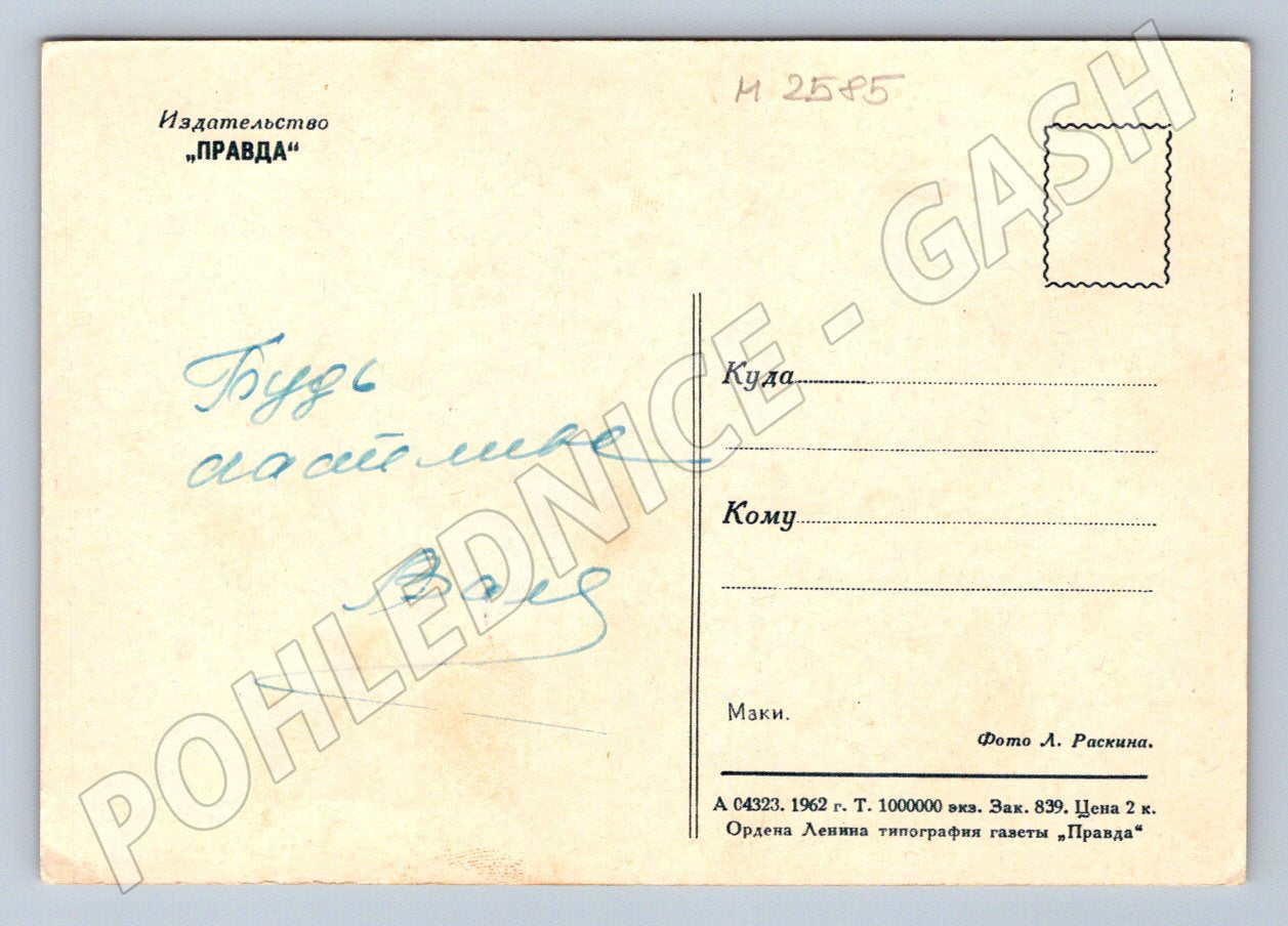 Postcard poppies Soviet illustration (M2585)