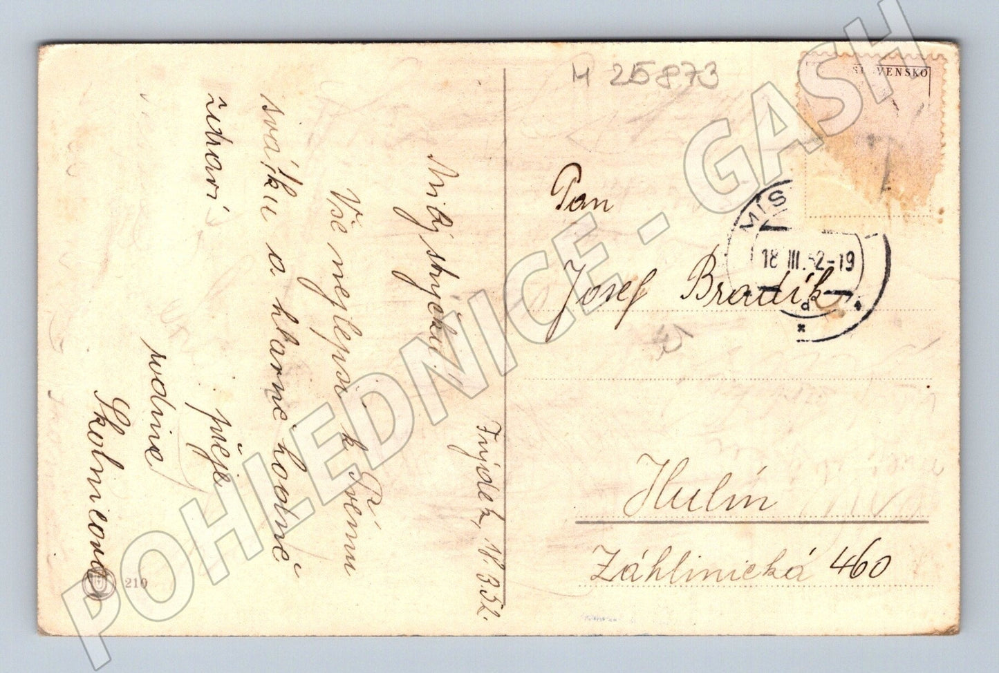 Pohlednice blahopřání květiny tulipány 1919 (M25873)