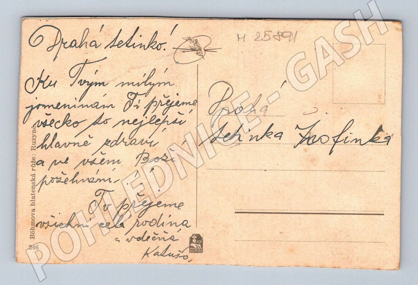 Pohlednice růže květiny (M25891)