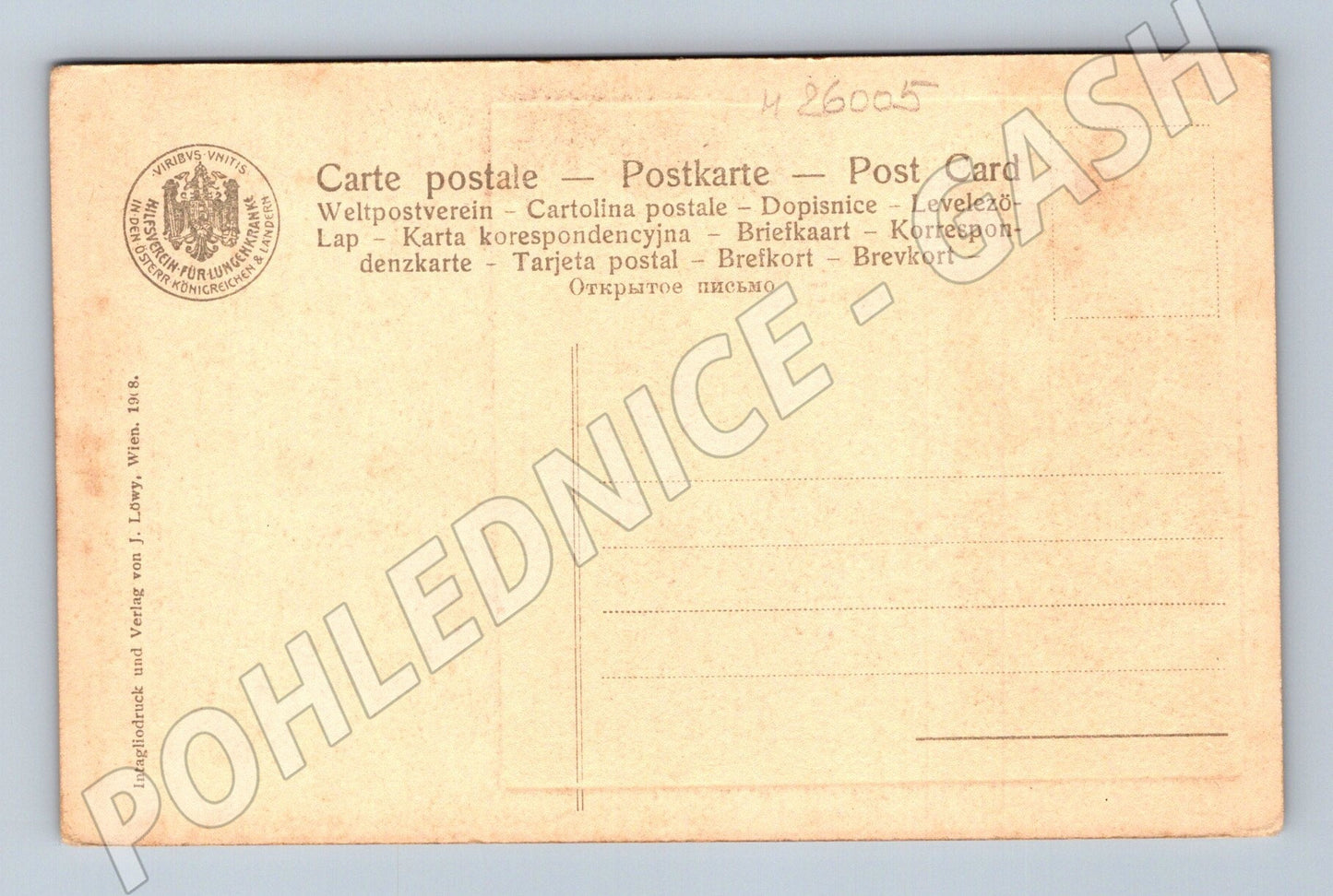 Pohlednice Rakousko portrét ženy Lorenzo Lotto 1908 (M26005)