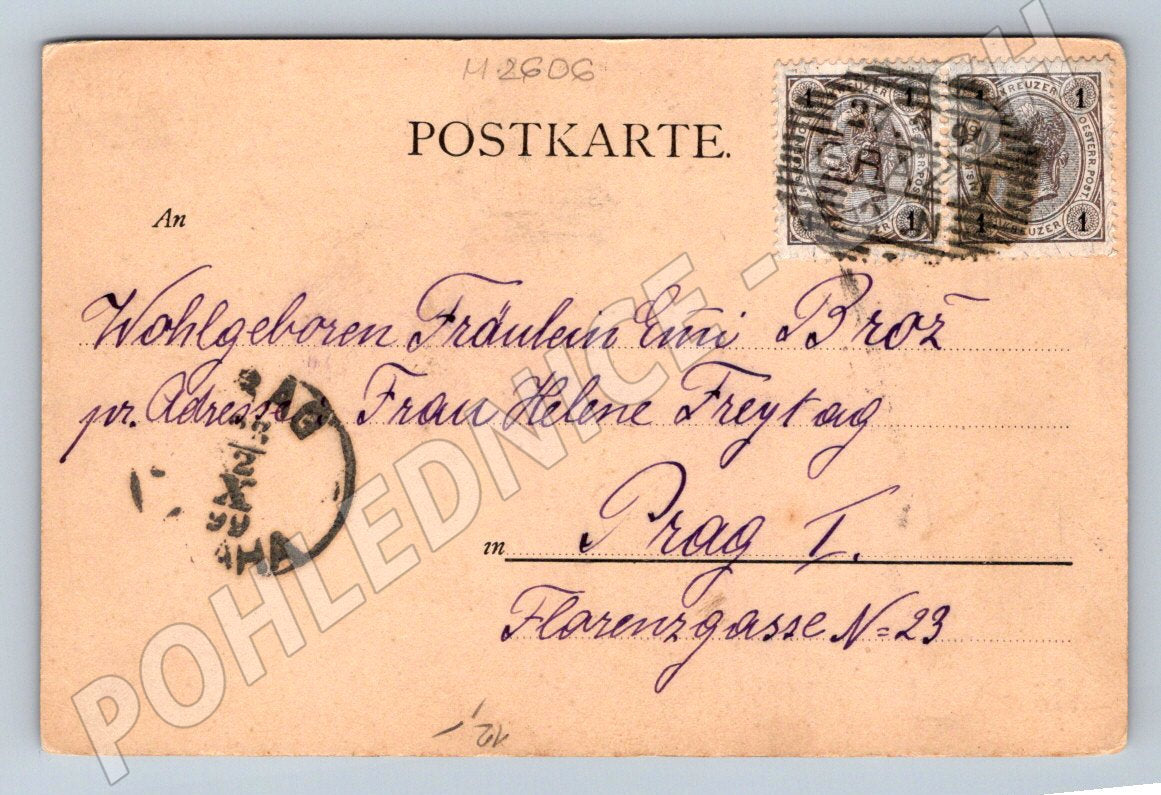 Postcard female portrait with dedication (M2606)