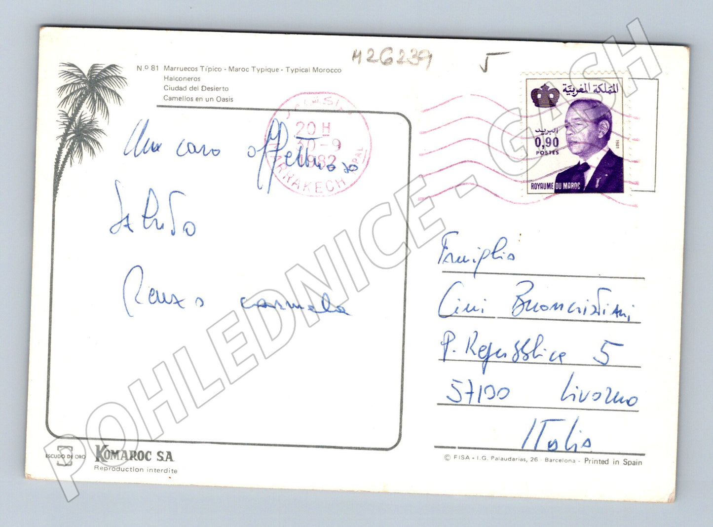 Maroko typické motivy sokolník velbloudi kasbah 1987 (M26239)