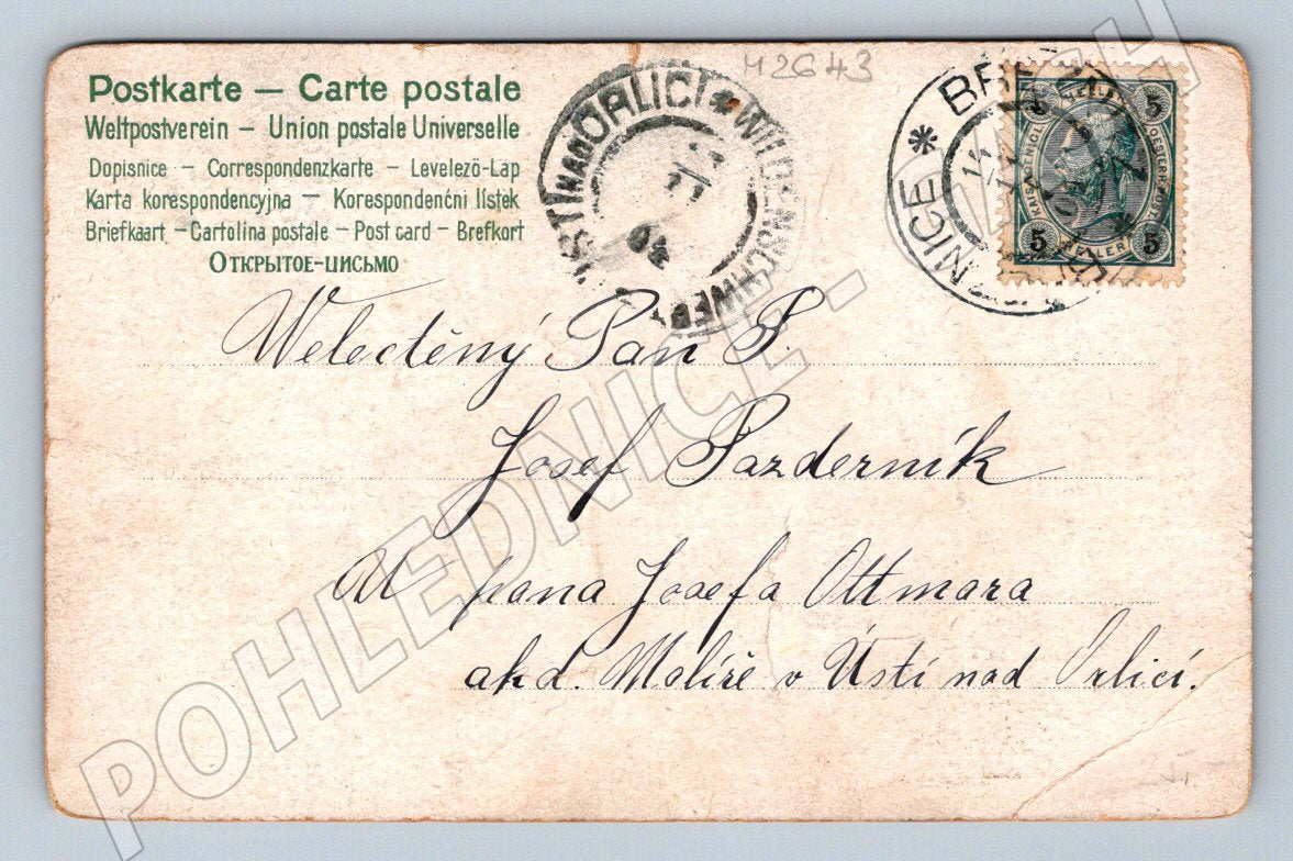 Postcard Branice 1909 handwritten (M2643)