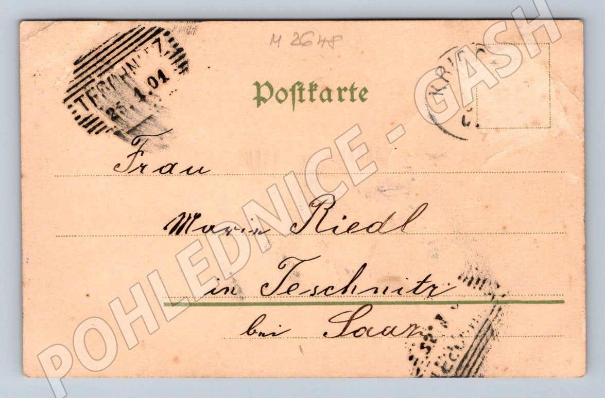 Postcard pigeons German text romance (M2648)