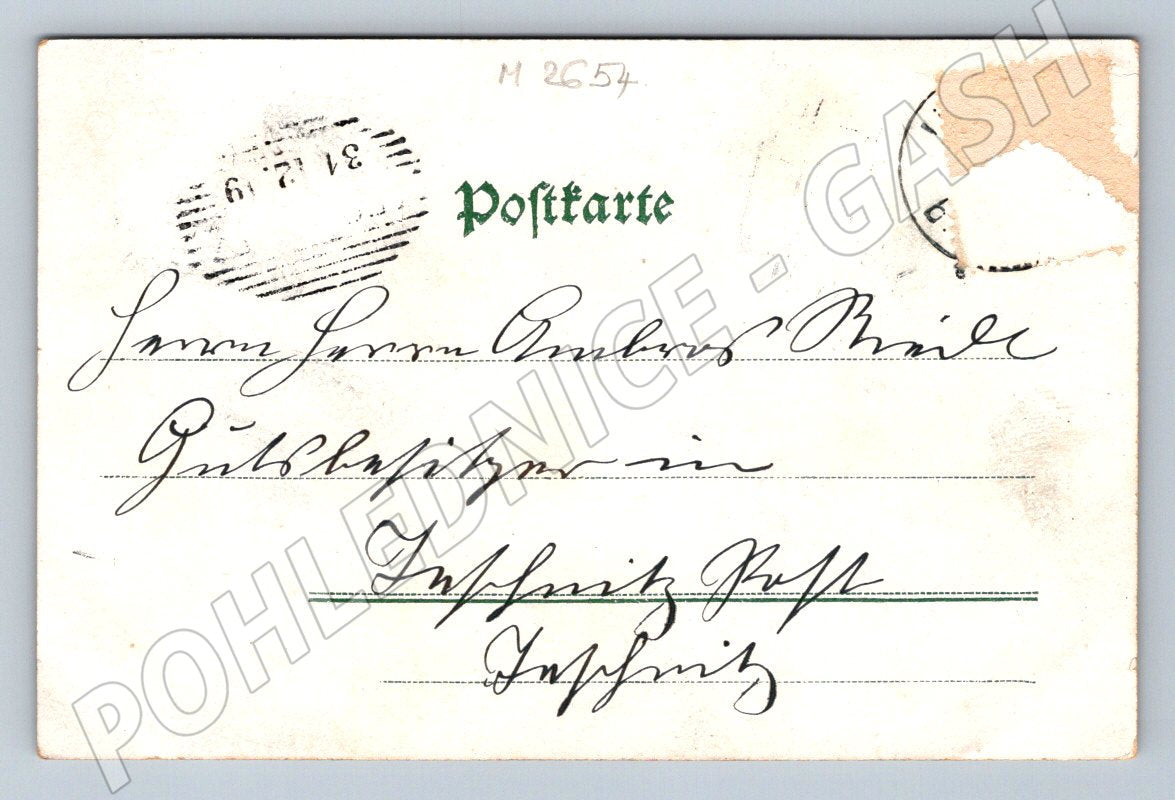 Postcard New Year's greetings flowers 1899 (M2654)