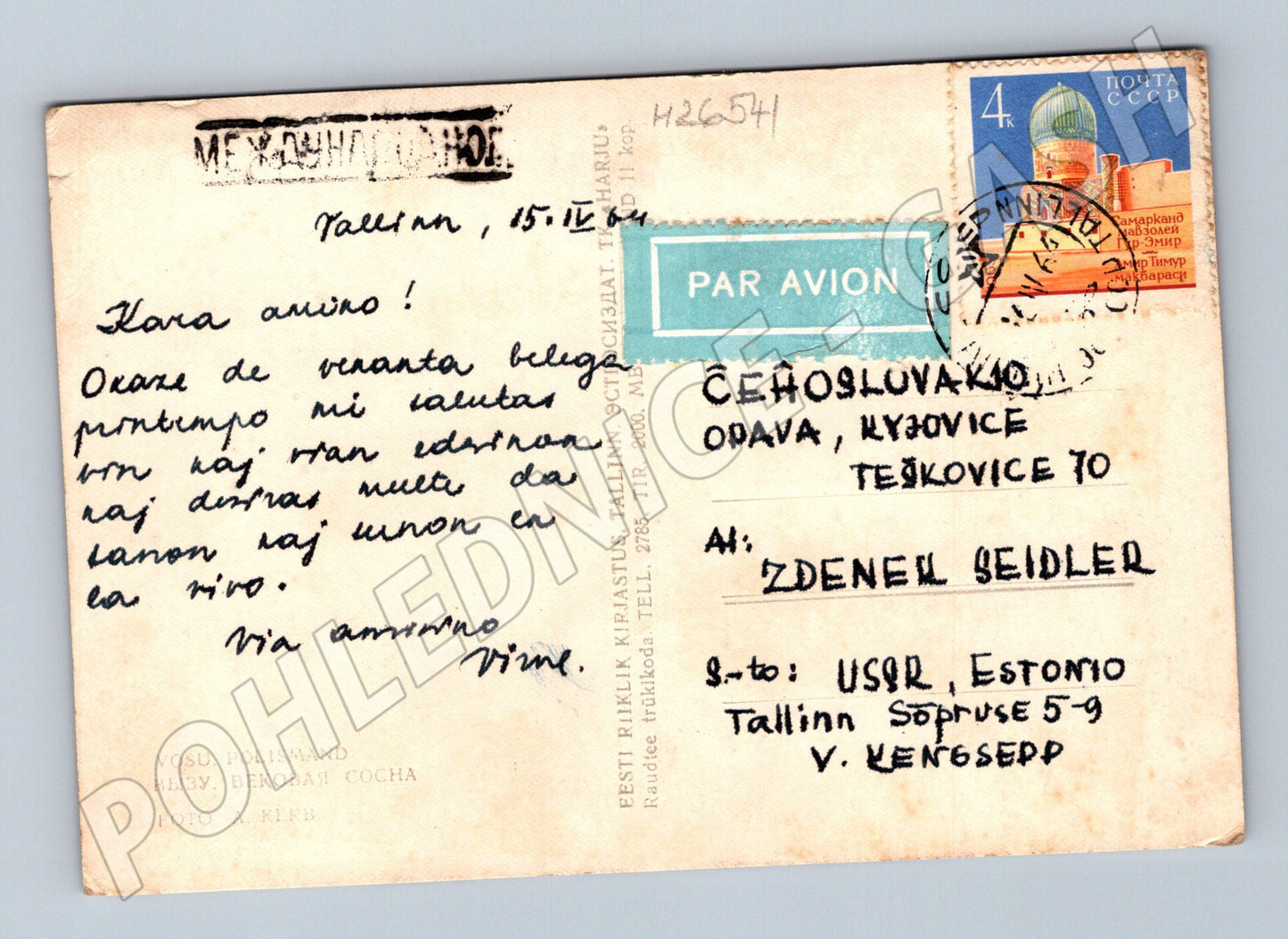 Pohlednice Estonsko Tallinn mohutný strom 1964 (M26541)