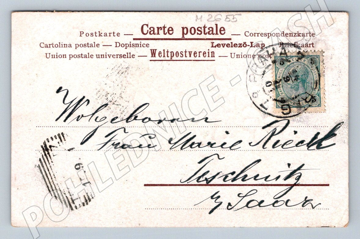 Pohlednice fialky ruční písmo (M2655)