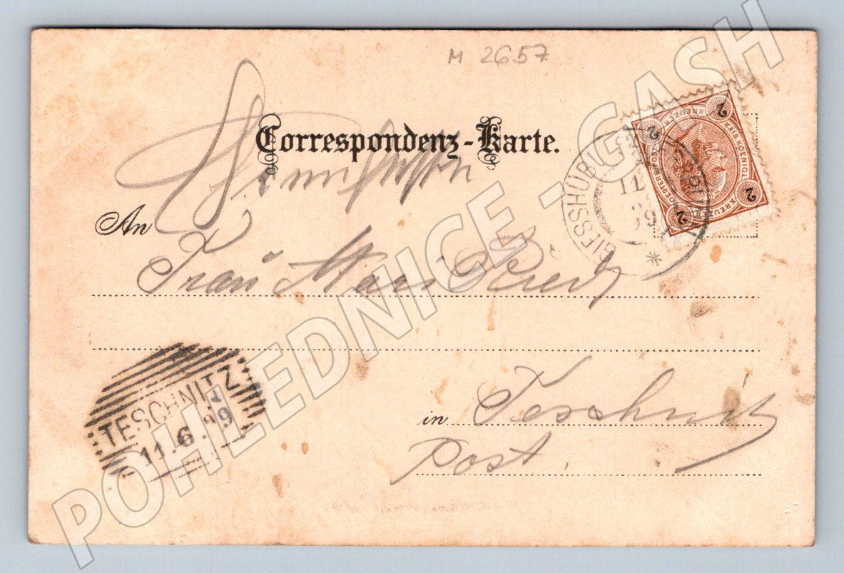 Pohlednice horská krajina Gruss aus 1899 (M2657)
