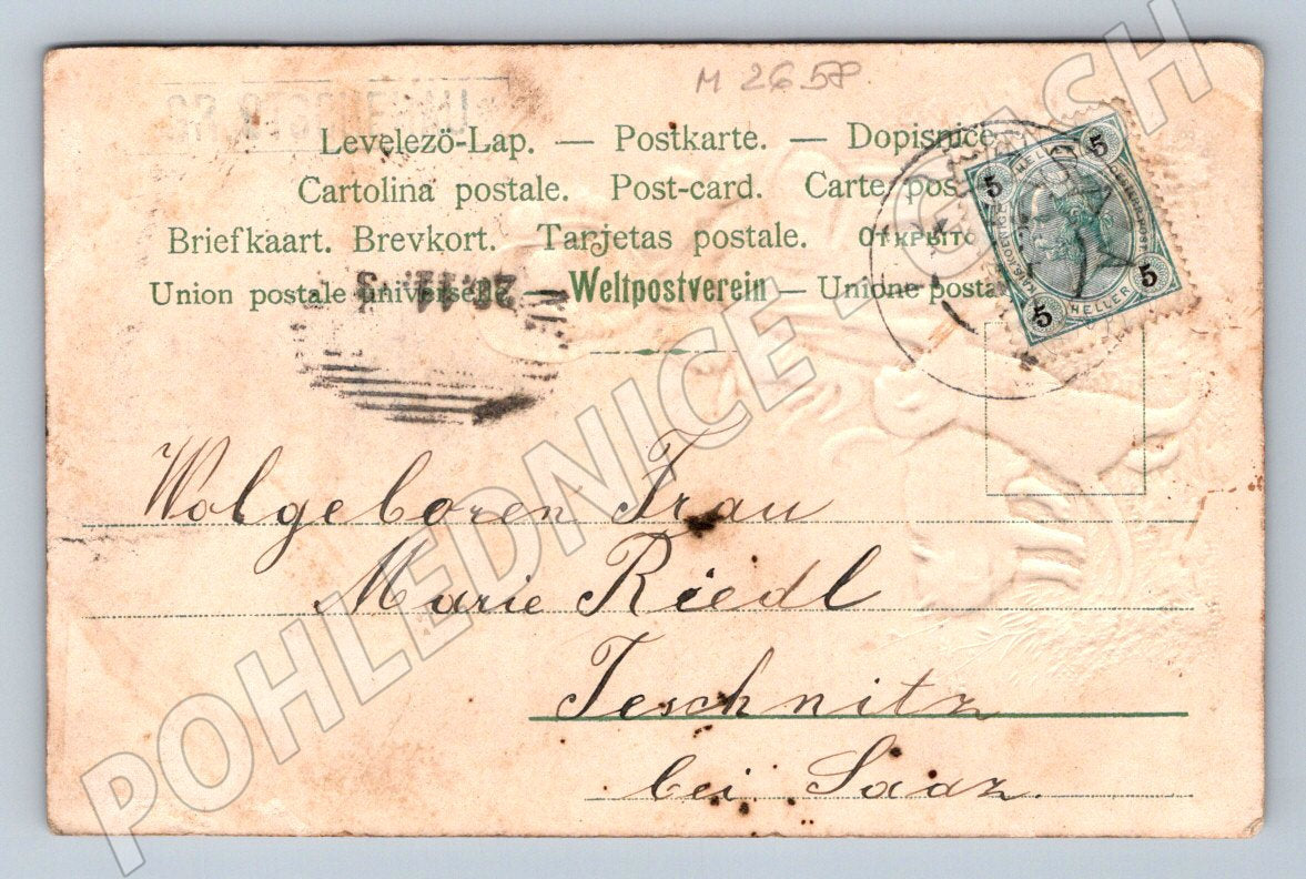 Postcard girl and cat ethnography (M2658)