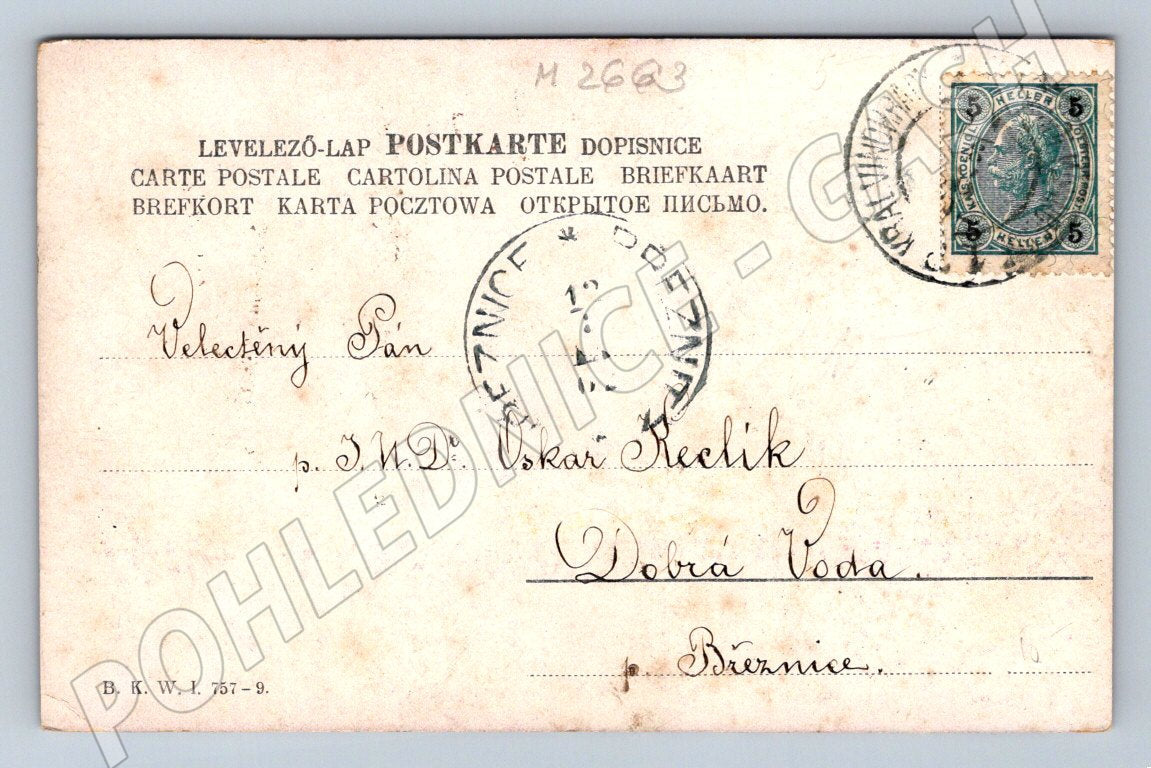 Postcard apple painting 1902 (M2663)