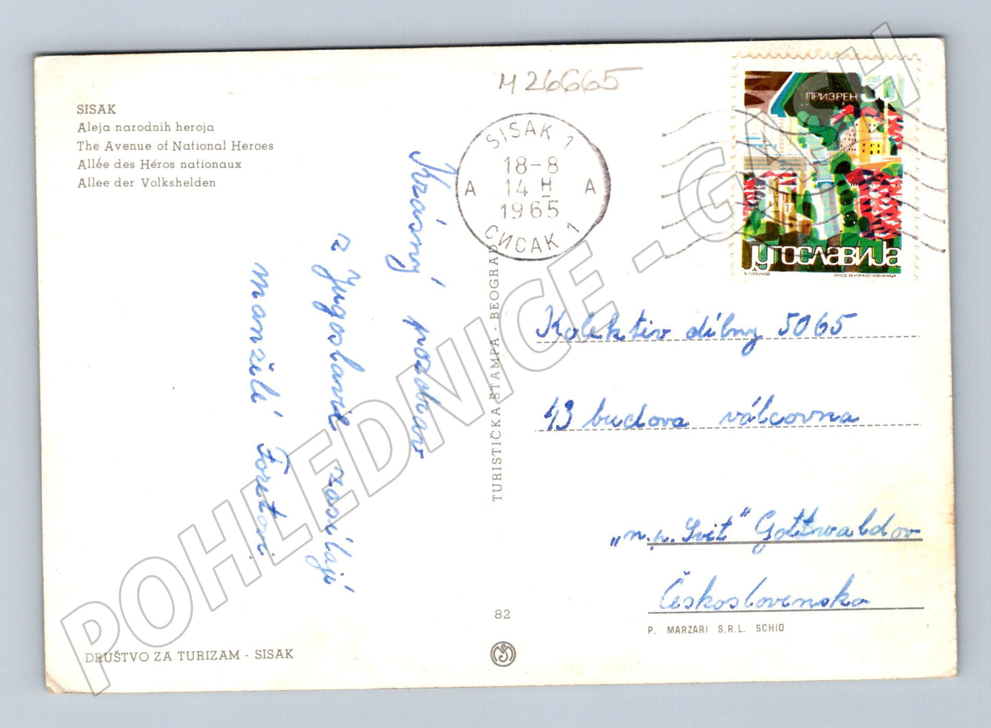 Pohlednice Chorvatsko Sisak Aleja narodnih heroja 1965 (M26665)