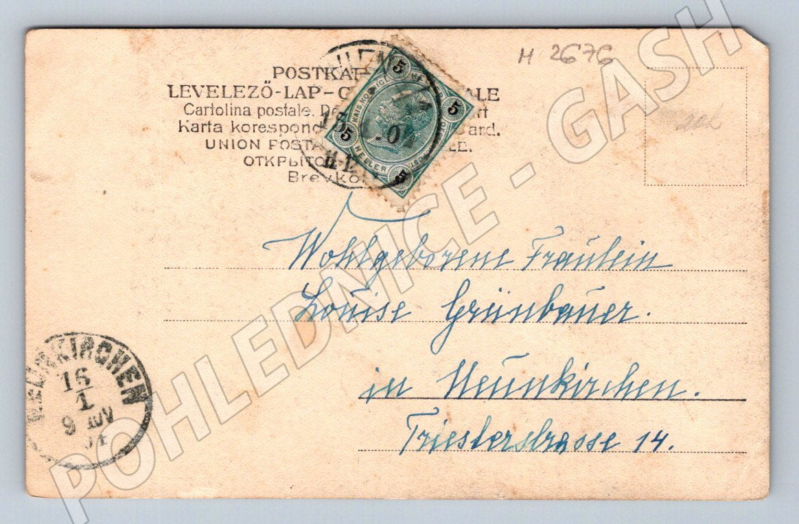 Pohlednice kůň a chrti Rakousko Uhersko (M2676)