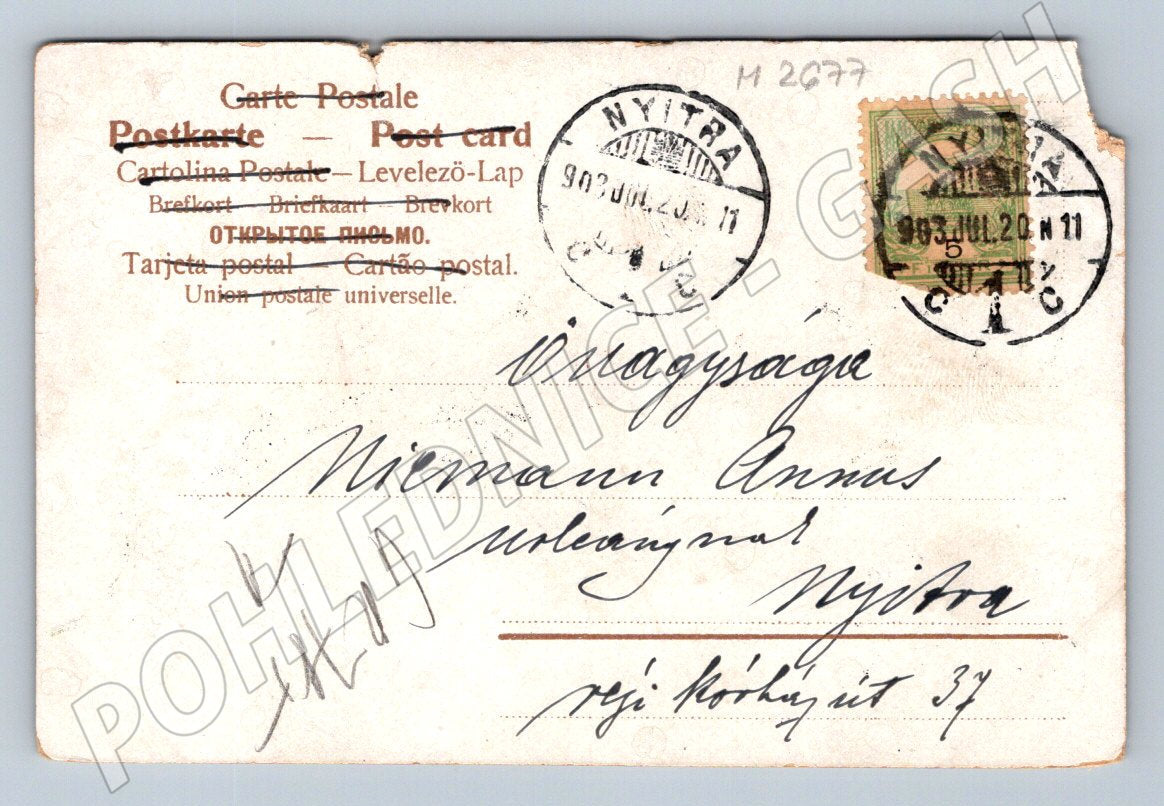 Postcard floral motif Hungary 1920 (M2677)