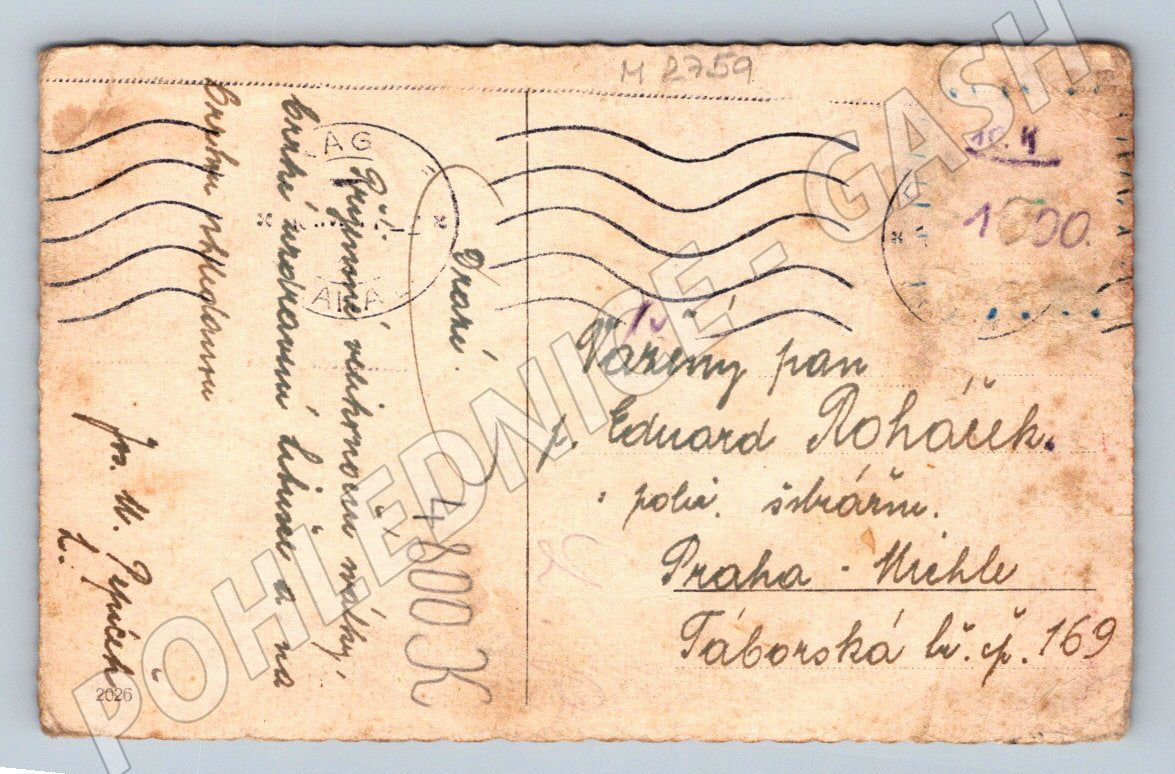 Postcard sheep Easter countryside vintage (M2759)