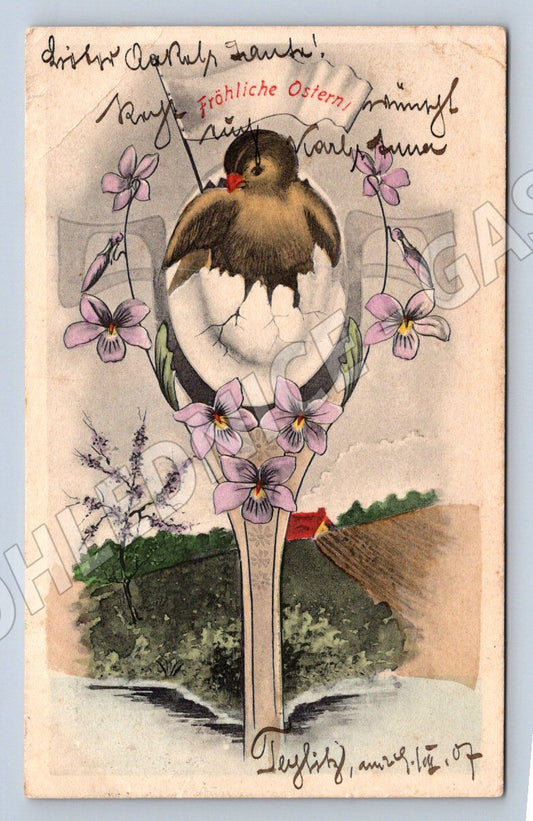 Pohlednice ptáček 1907 velikonoční (M2787)