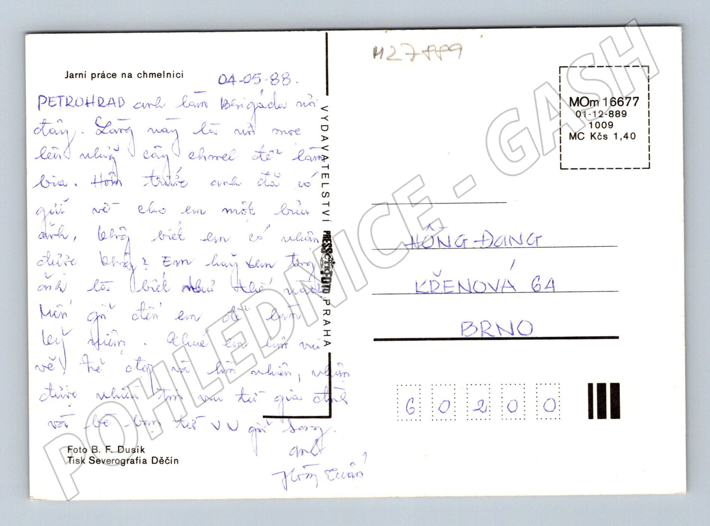 Pohlednice Jarní práce na chmelnici 1988 (M27889)