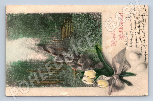 Pohlednice kočičky a tulipány 1905 (M2794)