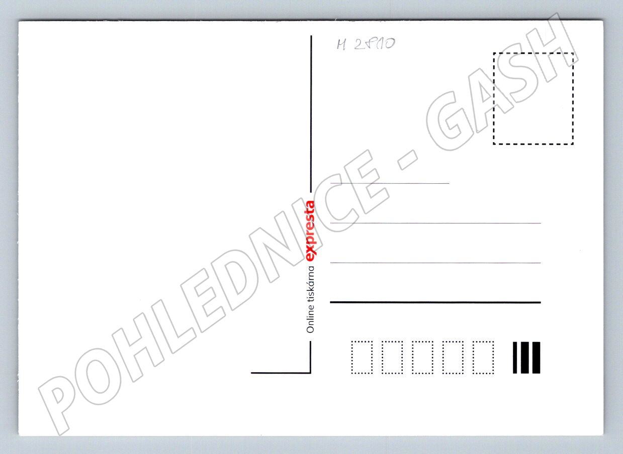 Postcard dogs and gifts Merry Christmas 2024 (M2810)