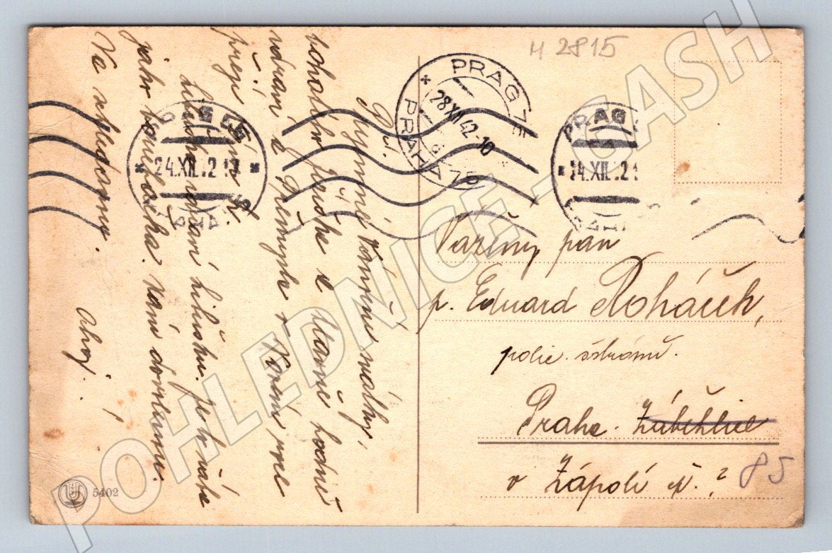 Postcard New Year's piggy bank and horseshoe 1924 (M2815)