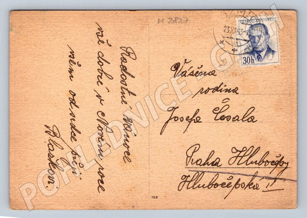 Postcard forest motif Czechoslovakia 1953 (M2827)