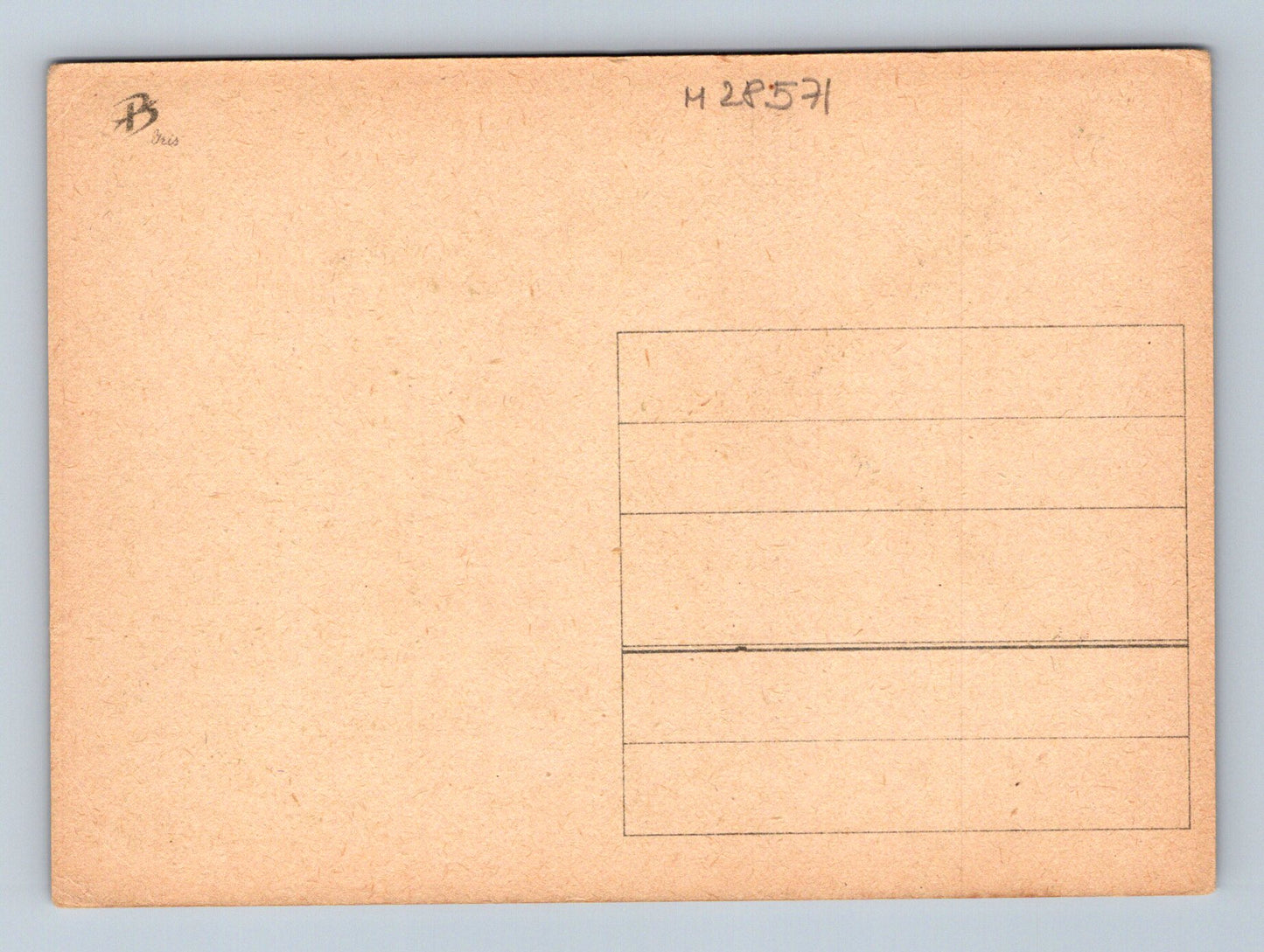 Pohlednice kolibřík u květin (M28571)