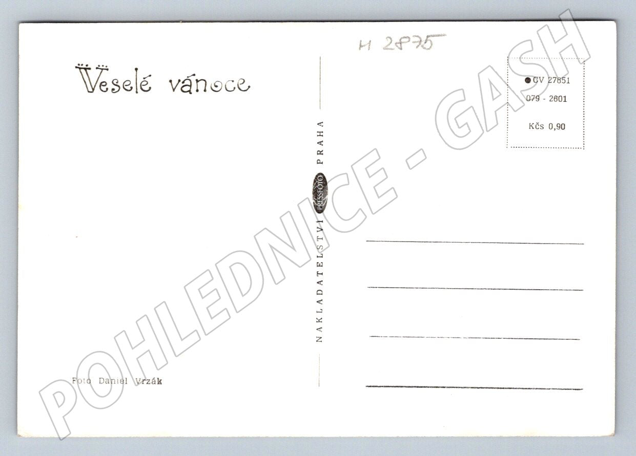 Postcard fruit still life Czech Christmas vintage (M2875)